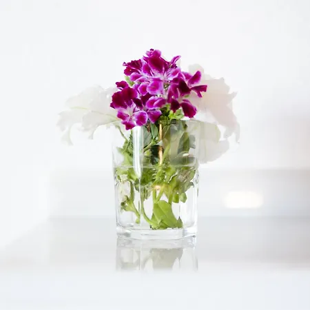 Alhambra - Adults Only بيت ضيافة 4*