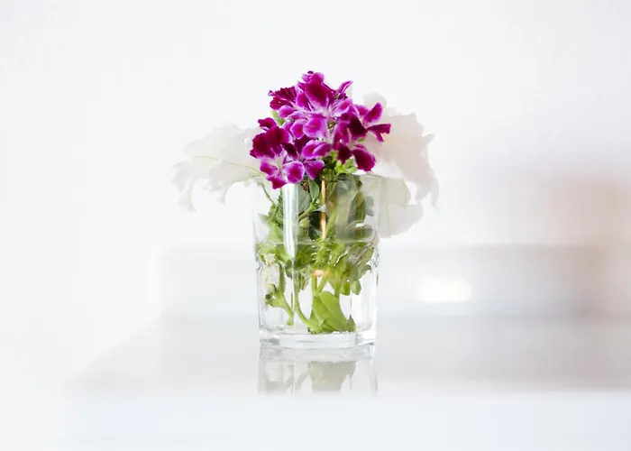 Alhambra - Adults Only Pensjonat 4*